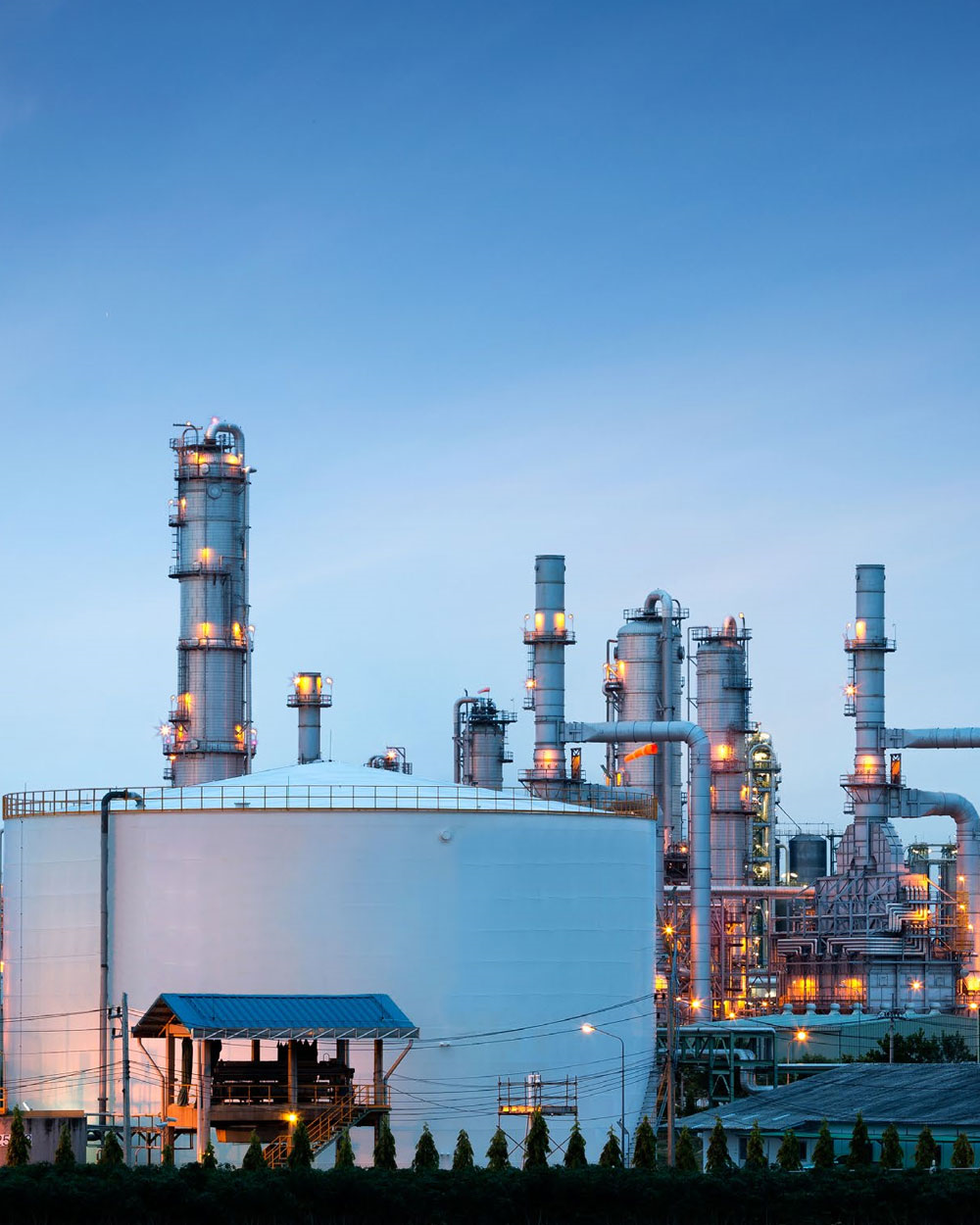 Confidential Multinational Chemical Plant 